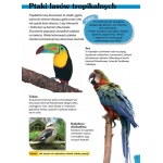 Encyklopedia "Fakty. Ptaki"