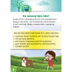 EKOLOGIA Recykling