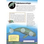 Prehistoria Dinozaury Potwory morskie