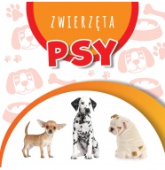 Wstęgi kartonowe PSY