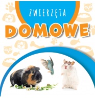 Wstęgi kartonowe ZWIERZĘTA DOMOWE